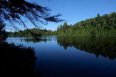 Craig Lake wilderness view